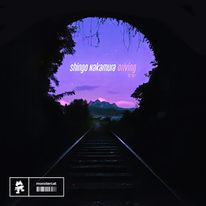 国产成人av大片
