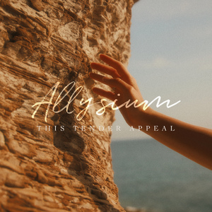 国产成人av大片
